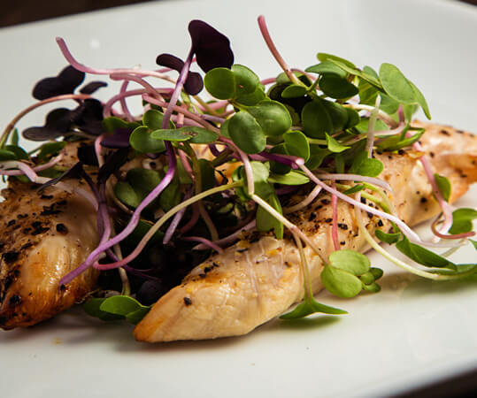 Plant Based Shrimp